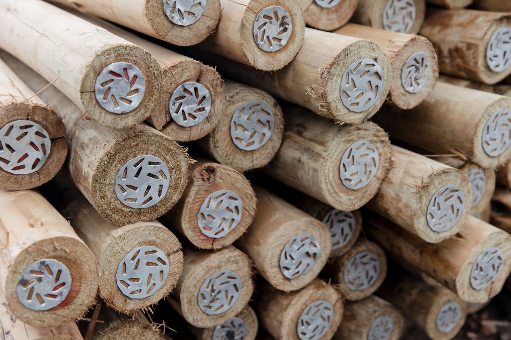 Low’s Creek Treated Timber