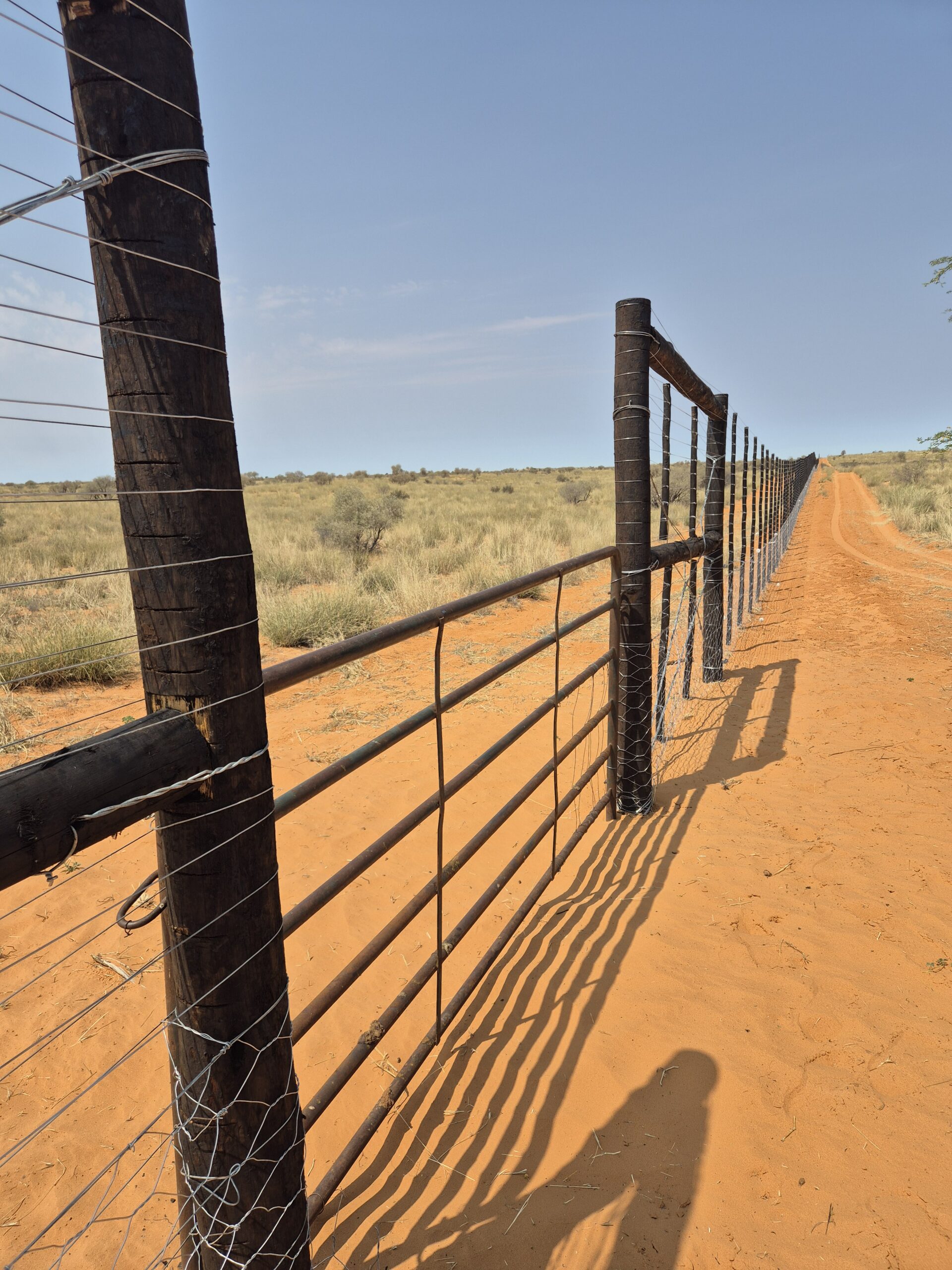 Low’s Creek Treated Timber