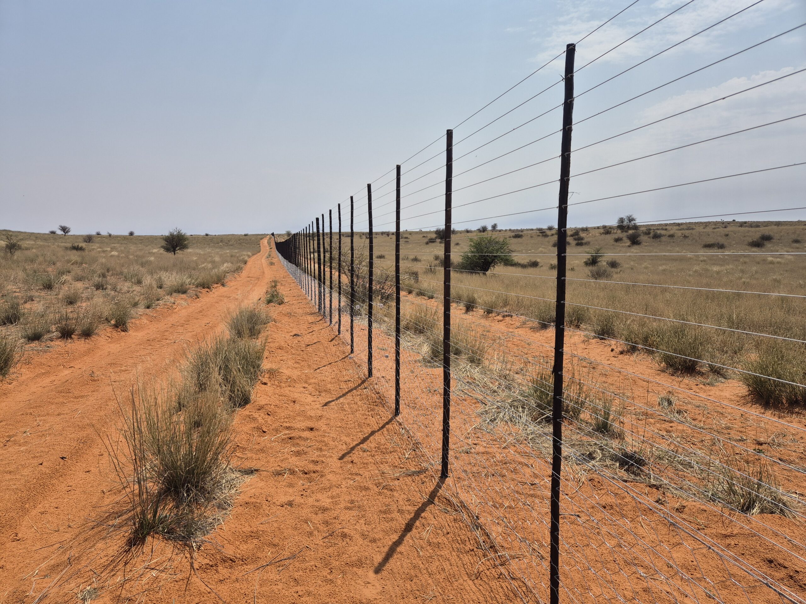 Building & Fencing Poles