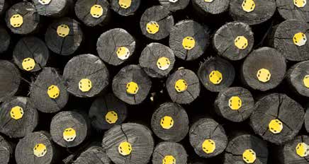 Low’s Creek Treated Timber