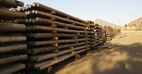 Low’s Creek Treated Timber