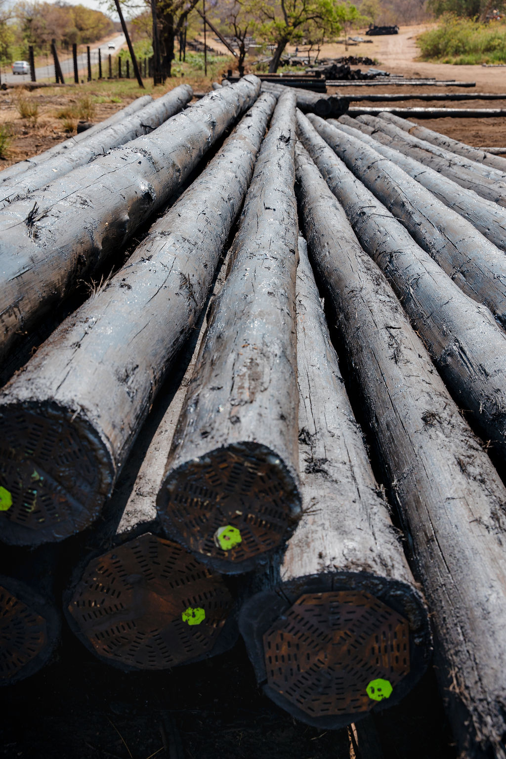Low’s Creek Treated Timber