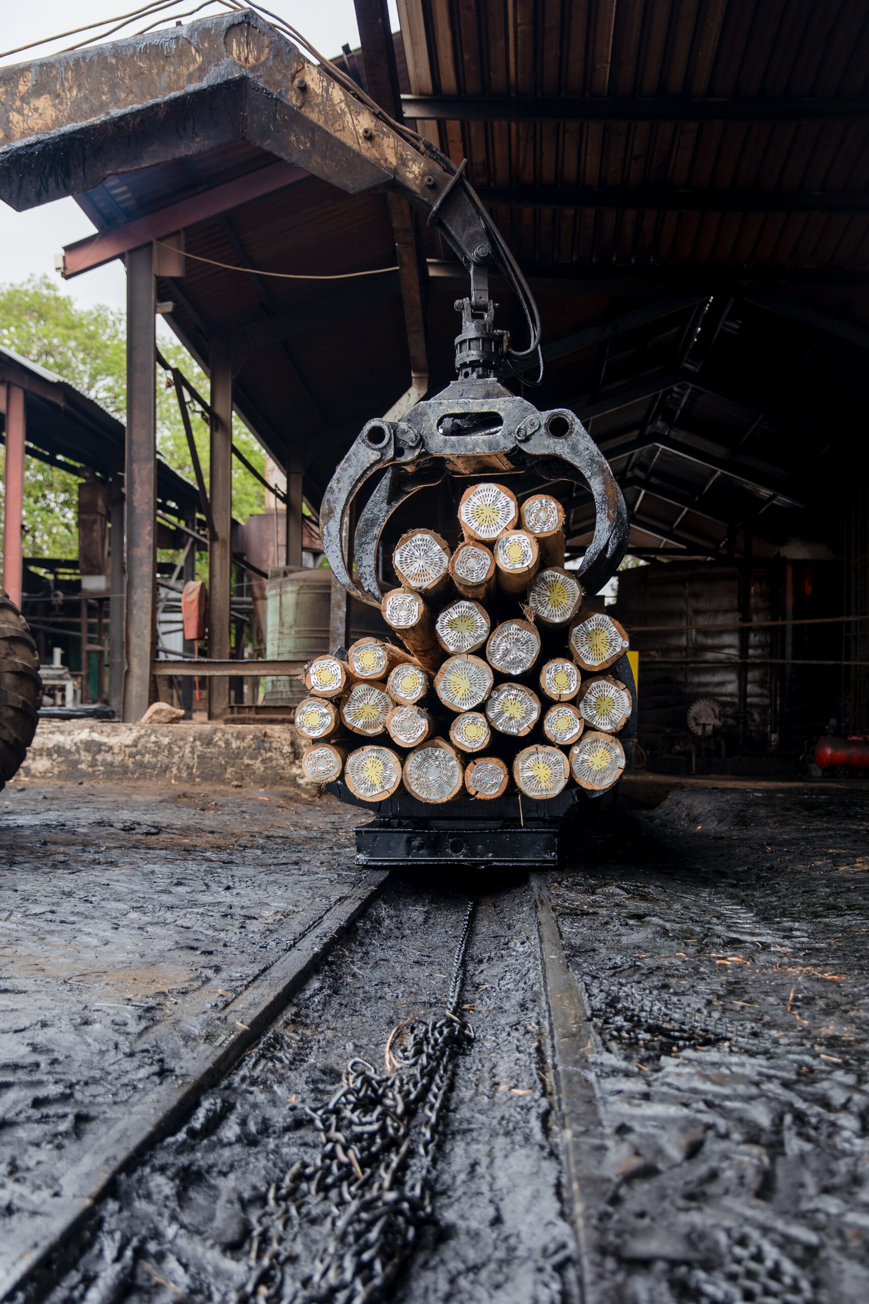 Low’s Creek Treated Timber