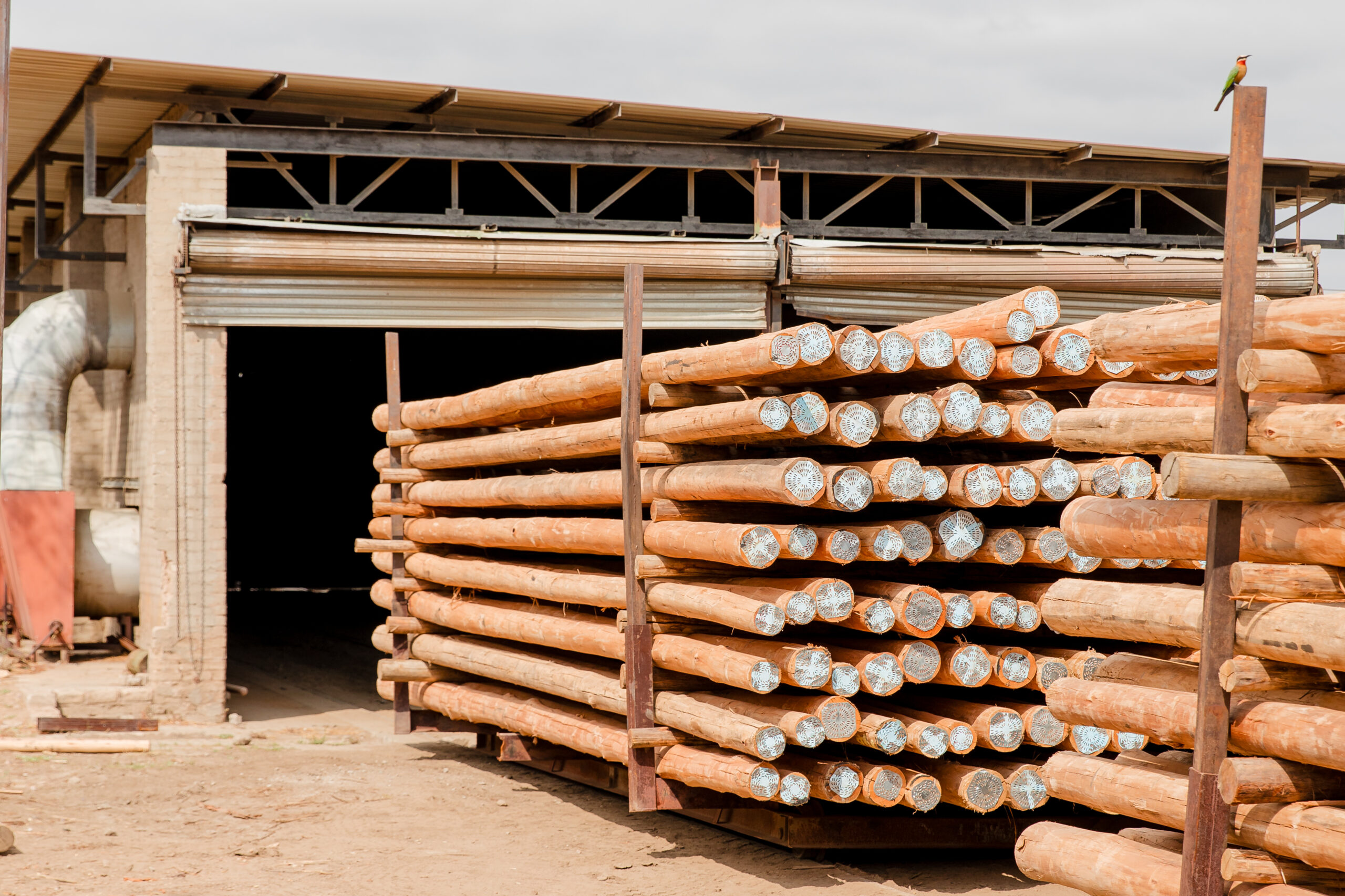 Low’s Creek Treated Timber